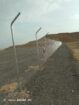 الرياض
