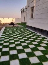 الرياض