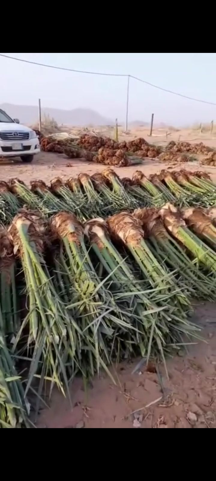 توريد الا جميع أنحاء المملكه