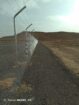 الرياض