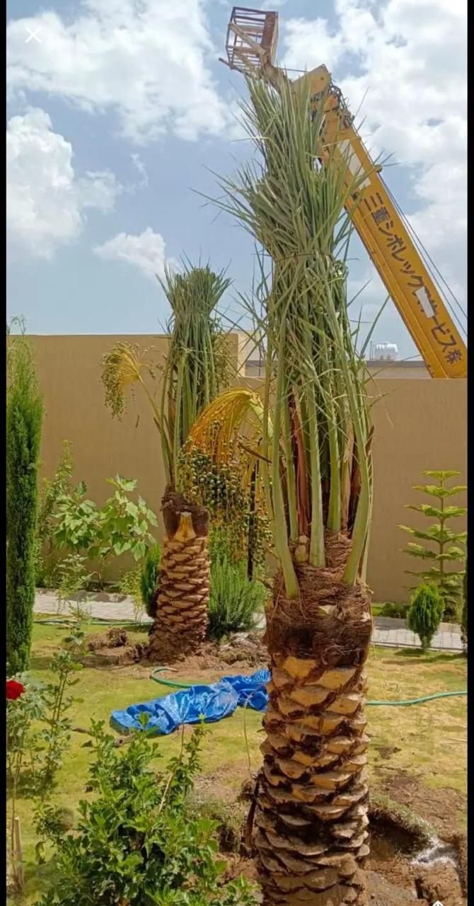 الطايف مكه جده الرياض القصيم ابها نجران جيزان