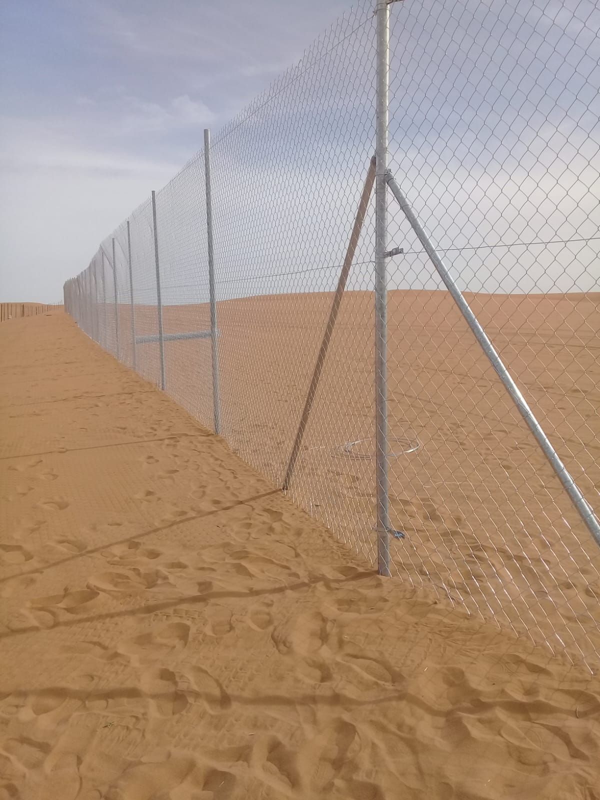 مقولات شبوك ونخل