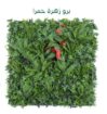 الرياض