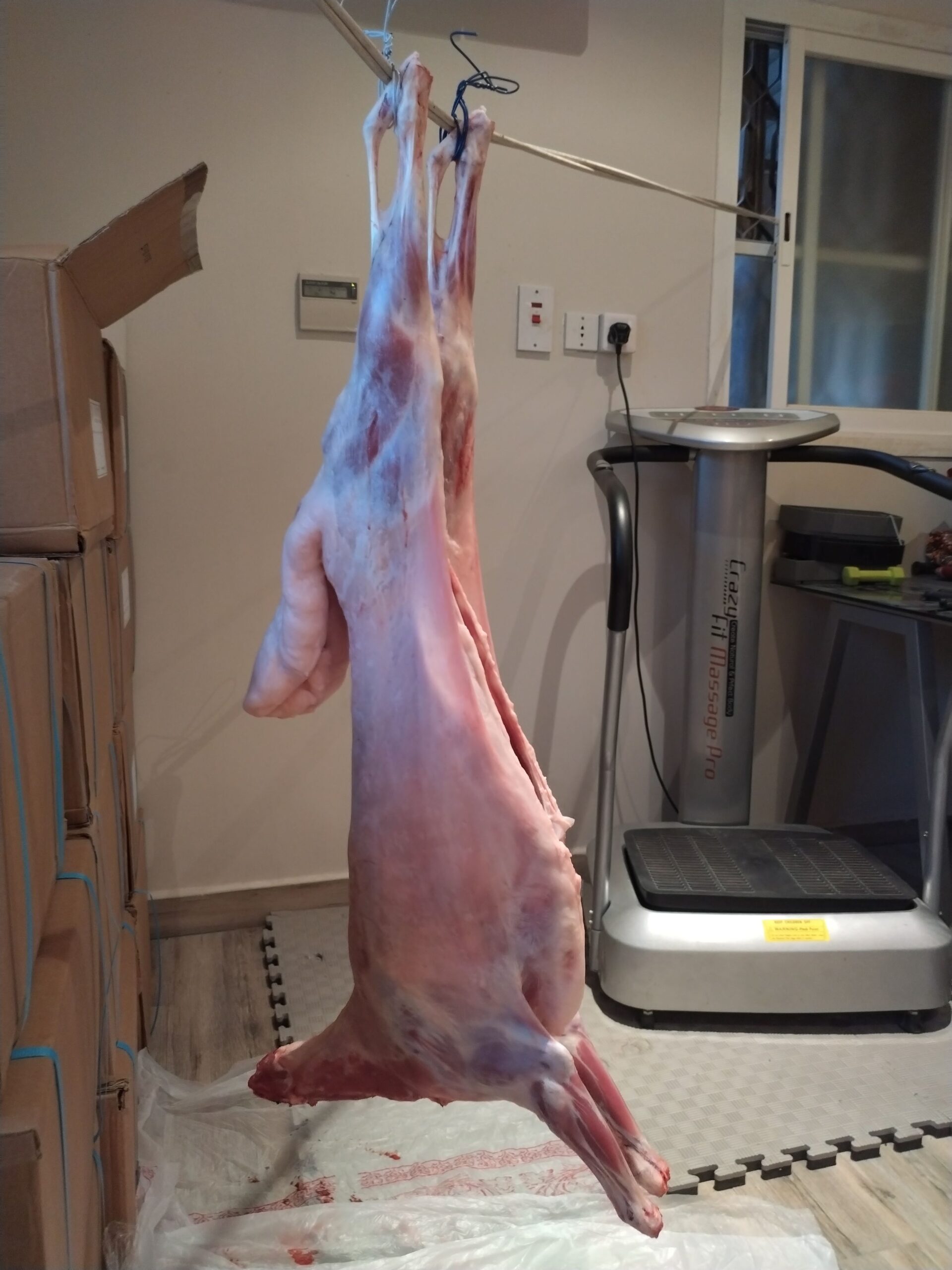 معلم مشويات شامية خارجي في موقعكم العاصمة الرياض