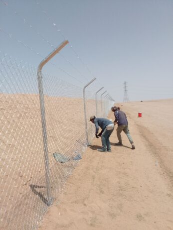الرياض
