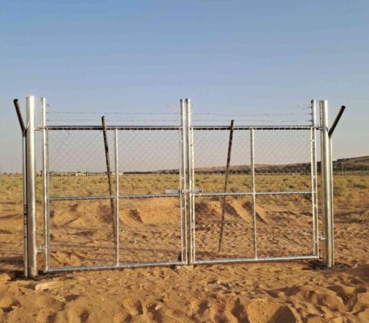 الرياض
