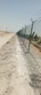 مقاولات شبوك