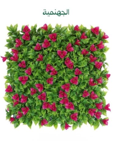 الرياض