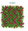 الرياض