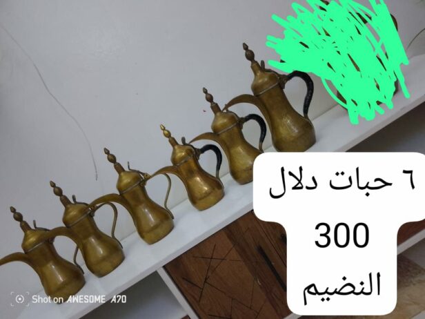 الرياض