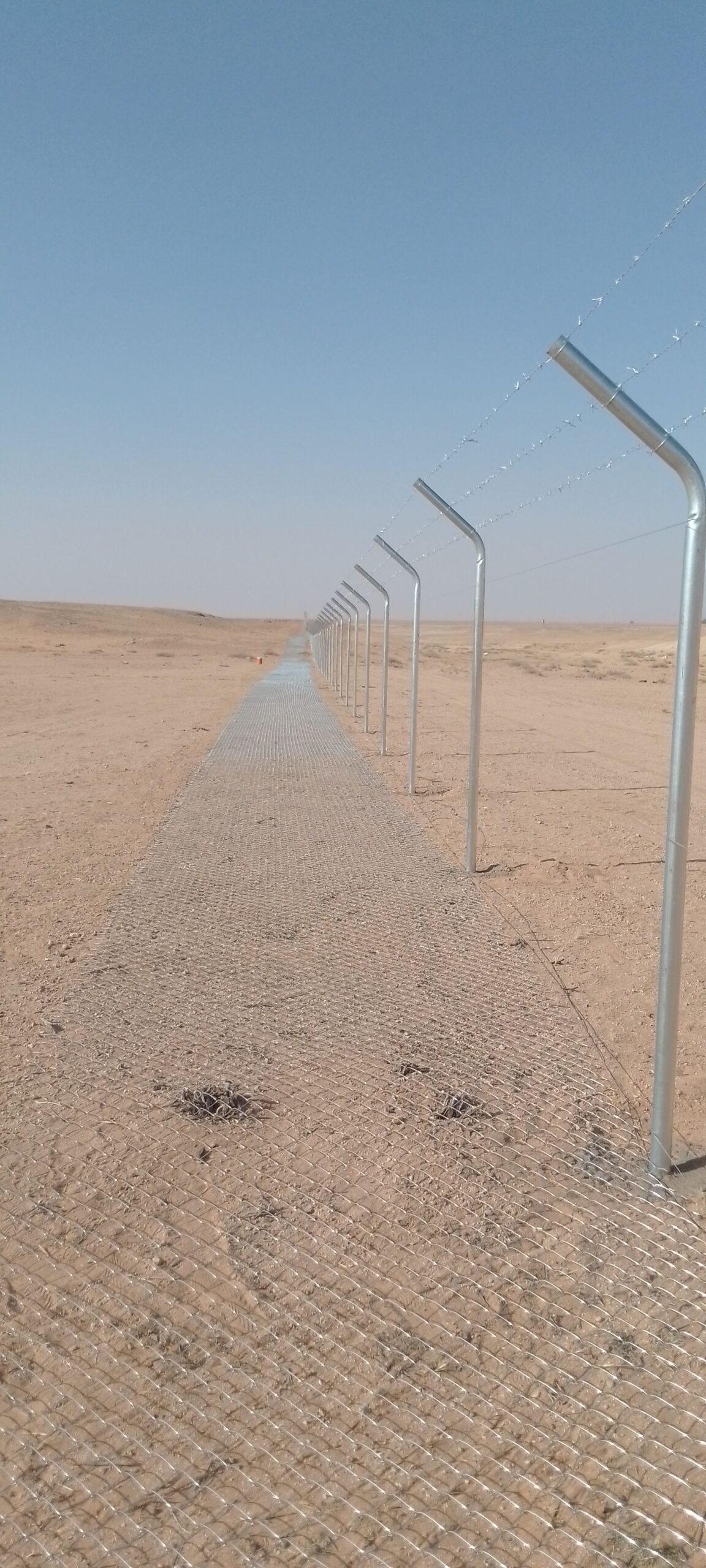 القصيم الرياض