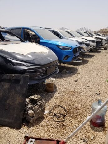 الرياض