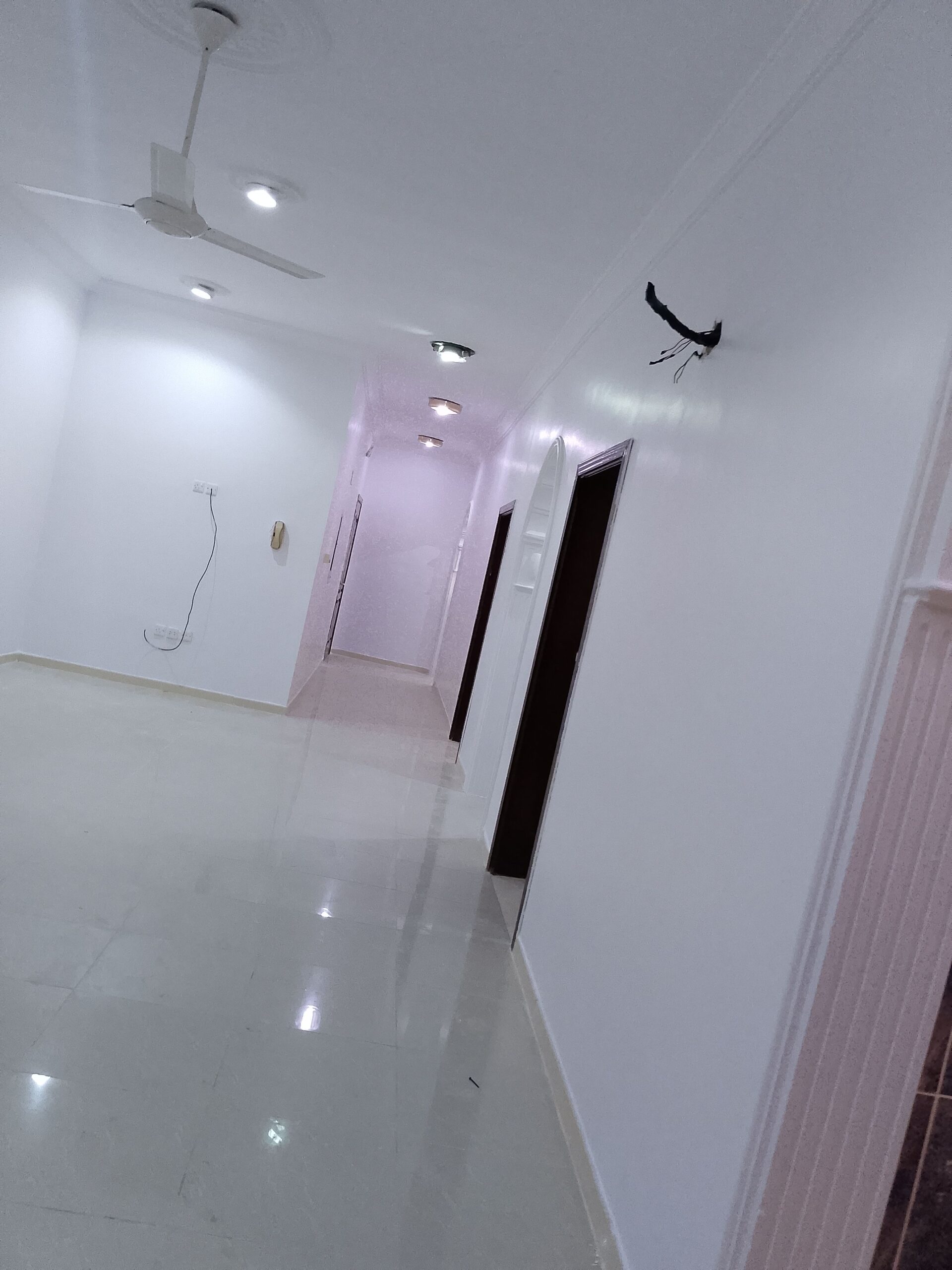 مقاول جميع انواع الدهانات