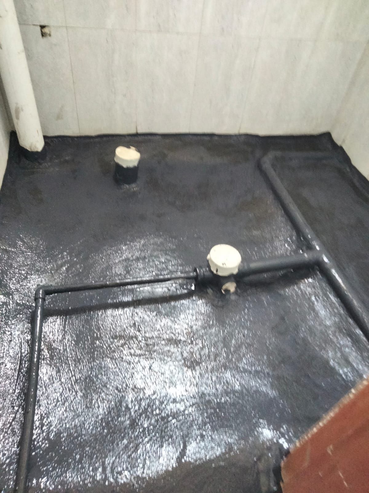 معلم بناء ولياسه بناء 👷‍♀️ احوض زرعه بناء بندور وق