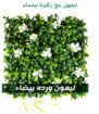 الرياض