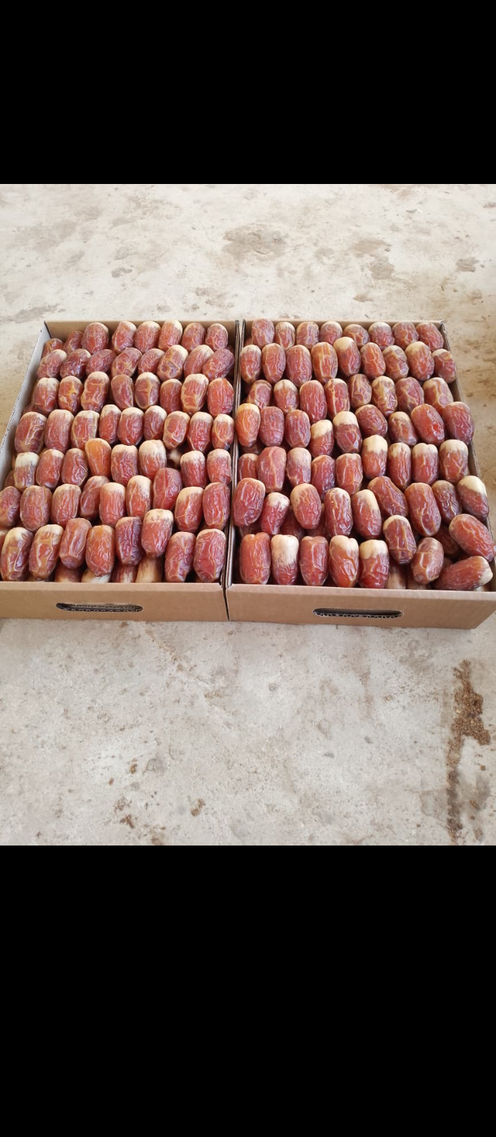 الرياض القصيم ابها نجران جيزان الدوادمي الخرج مكه