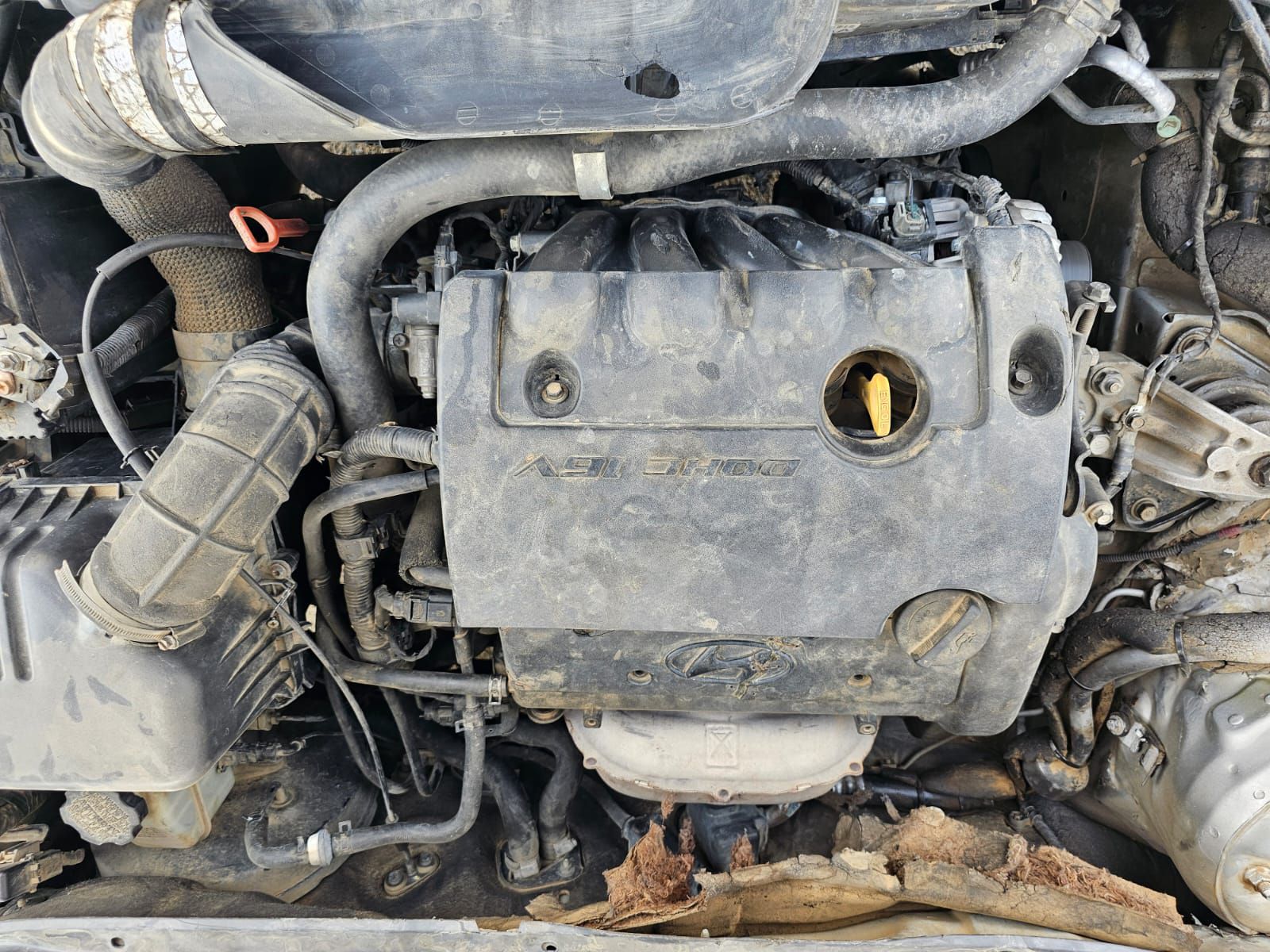 جيزان الفطيحه