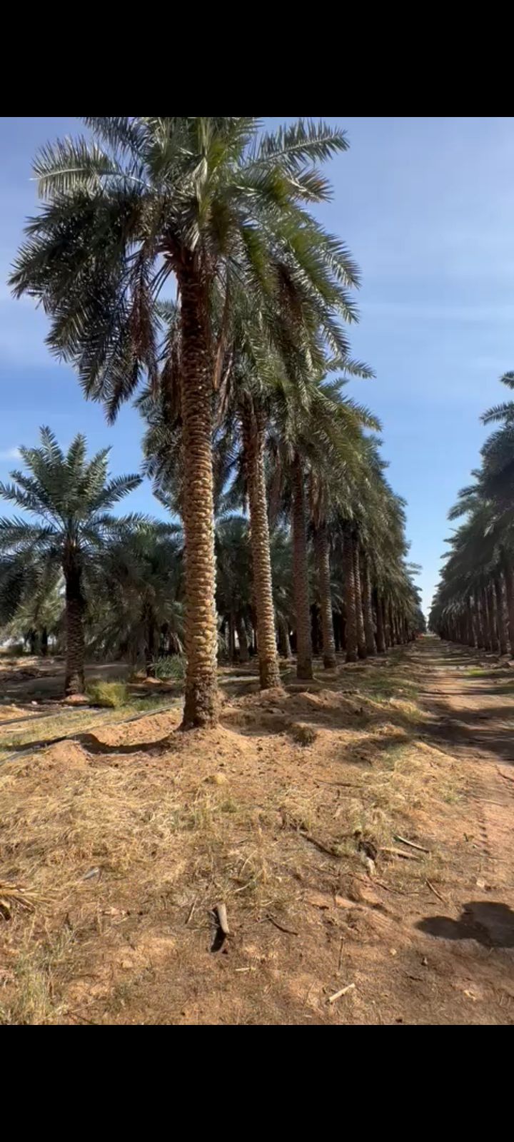 يوجد لدينا توريد الا جميع أنحاء المملكة