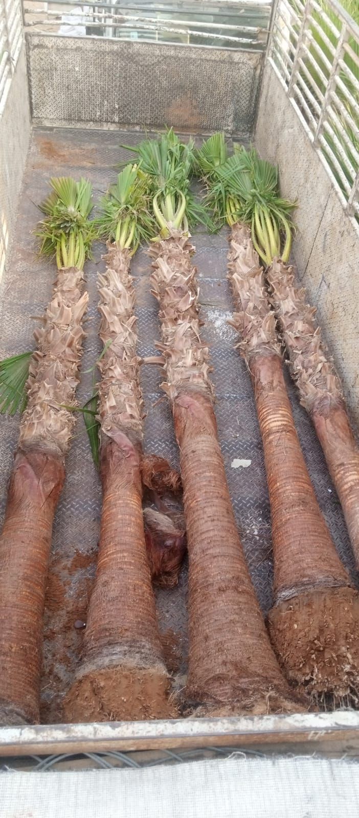 نقوم بتوريد وتركيب جميع النواع الشبوك