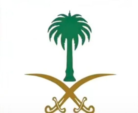 استخراج تصاريح زواج وتخليص معامله التجنيس