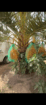 الرياض الخرج