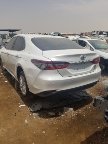 الرياض