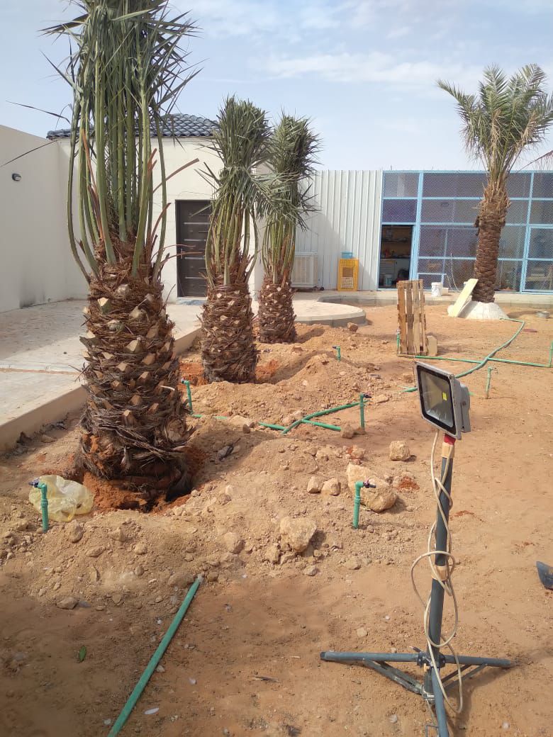 مقاول شبوك ونخيل اسعار منخفضه