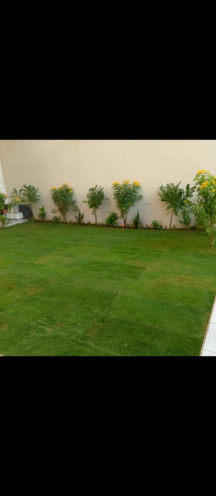 نعمل في زراعة وتركيب وتوريد الثيل باسعار مناسبة