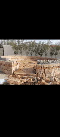 نقوم بقلع وتوريد جميع انواع النخيل المثمره والزينه