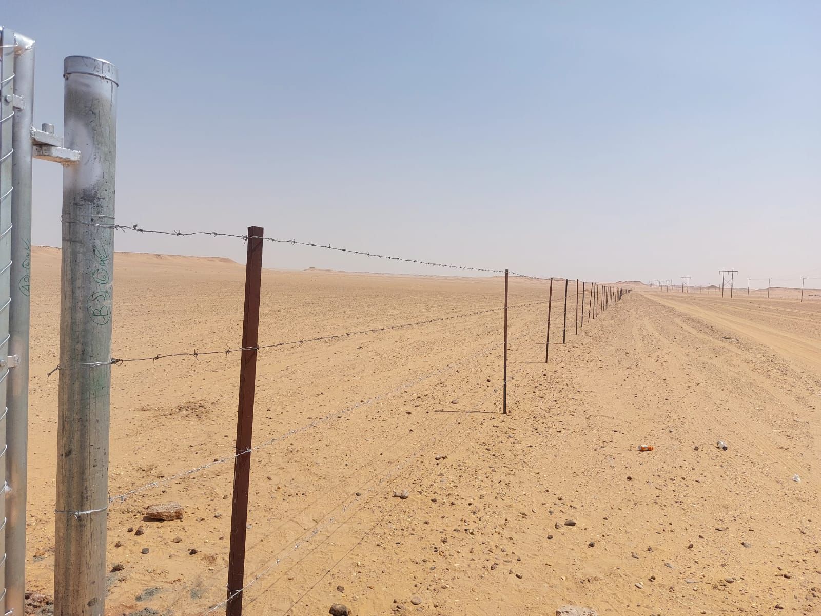 نقوم بتورد وتركيب جميع النواع الشبوك ونخيل عربي وو