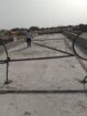 جده