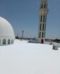 الرياض