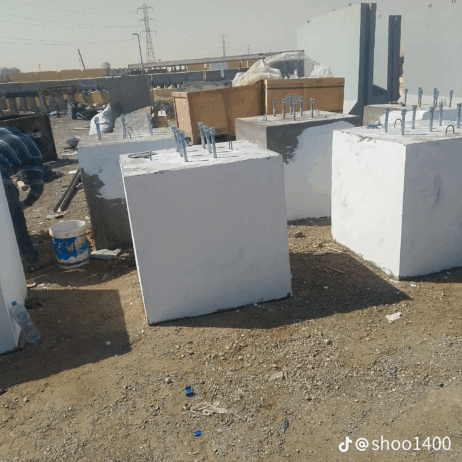 الرياض