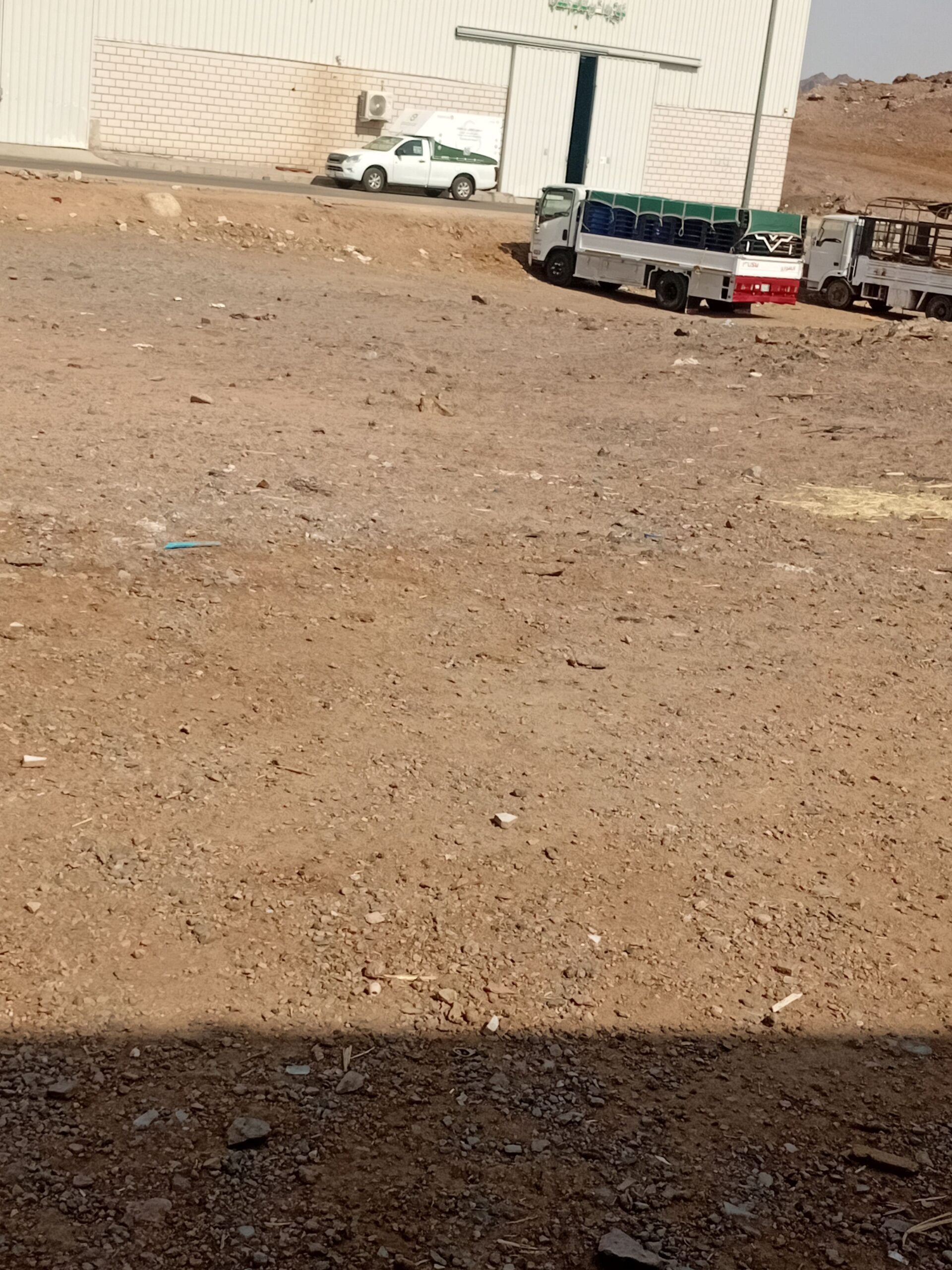 المدينة المنورة