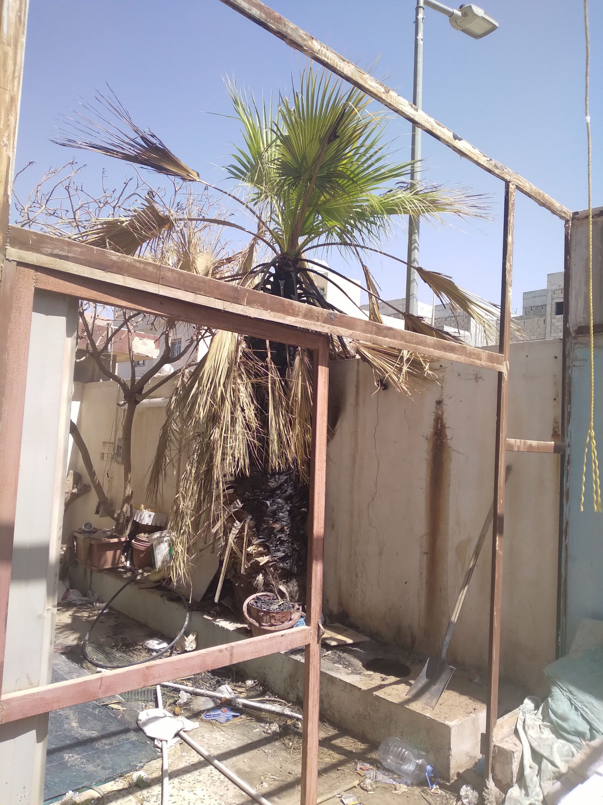 شينكو وباب شينكو ومرابيع حديد للبيع