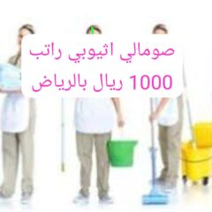 990b2487-7a0b-4fce-831f-a5428e4dbbcc