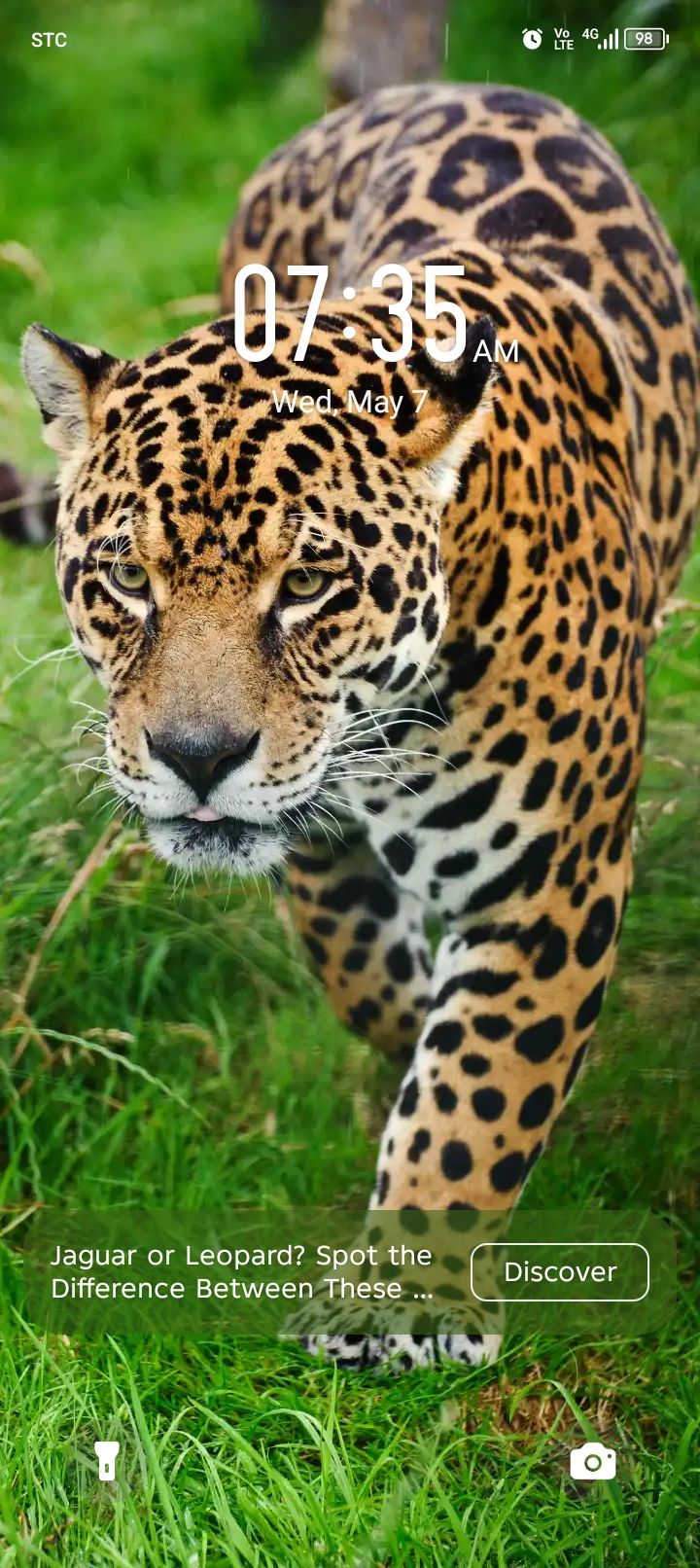 ابغا سواق پاكستاني تنزل مافي مشكل