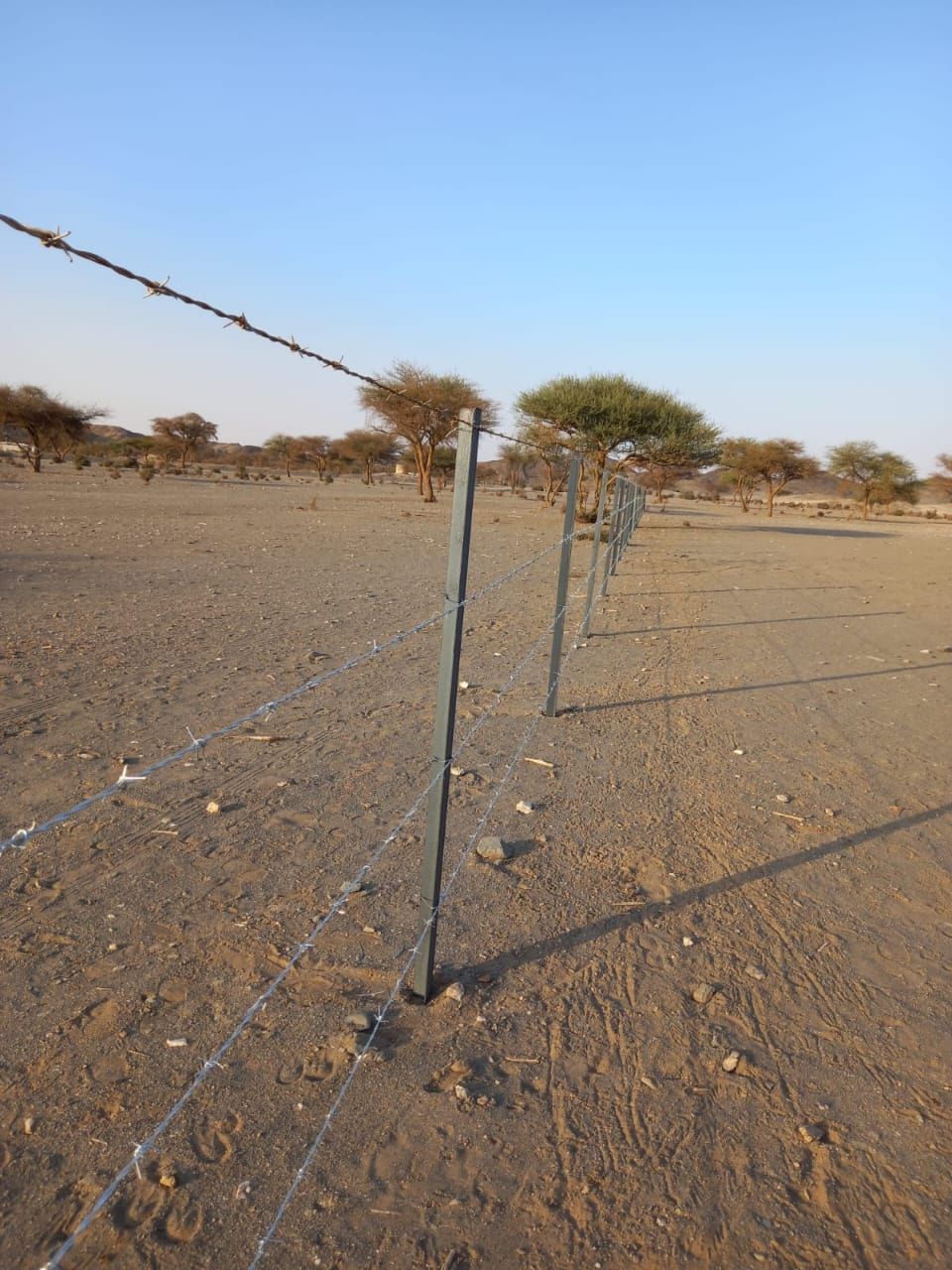 سكاكا الجوف