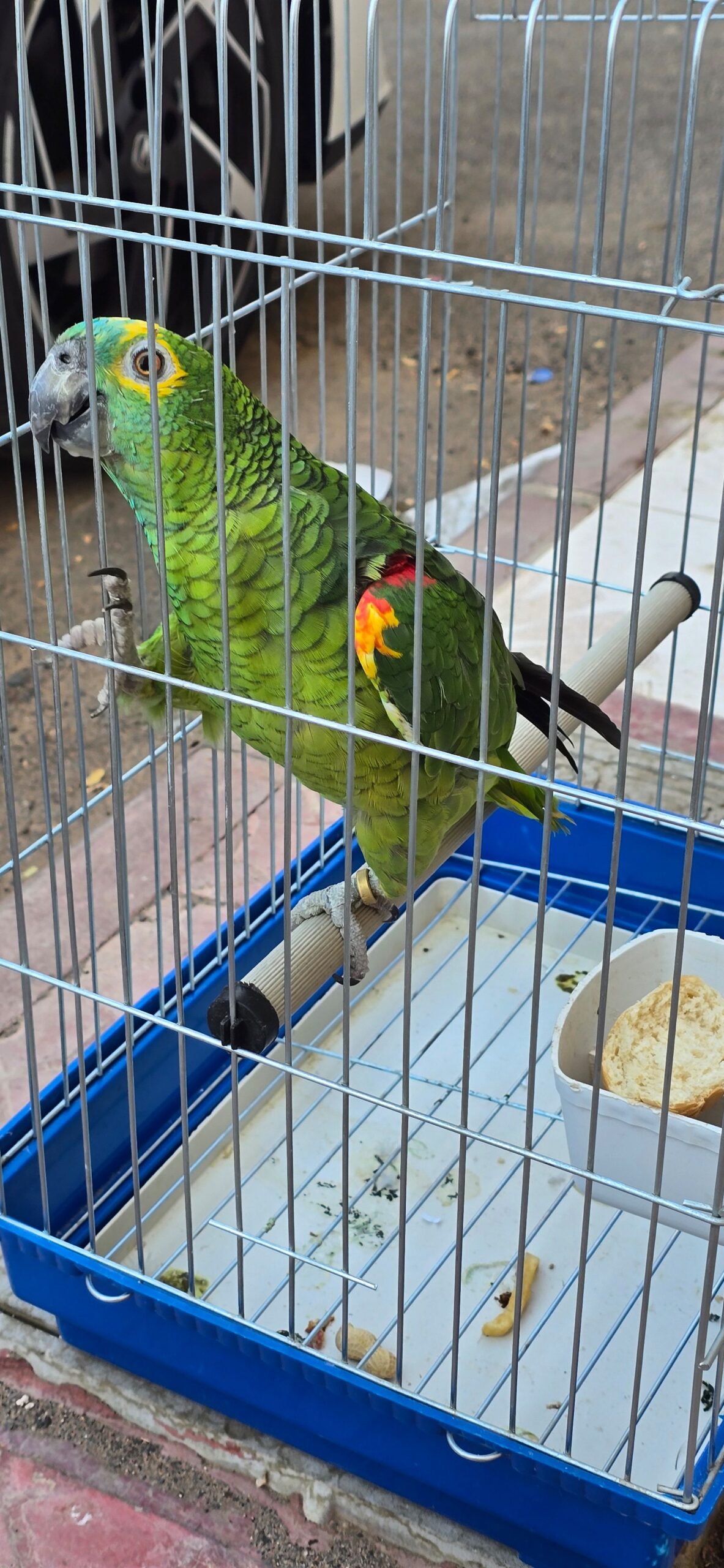 المدينه المنوره مخطط الملك فهد