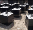 الرياض