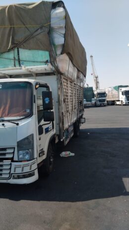 المحمديه