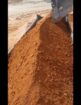 الرياض