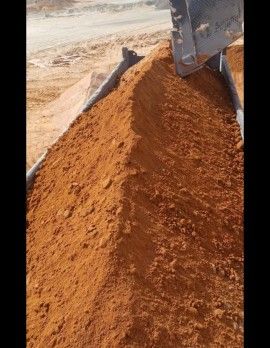 الرياض