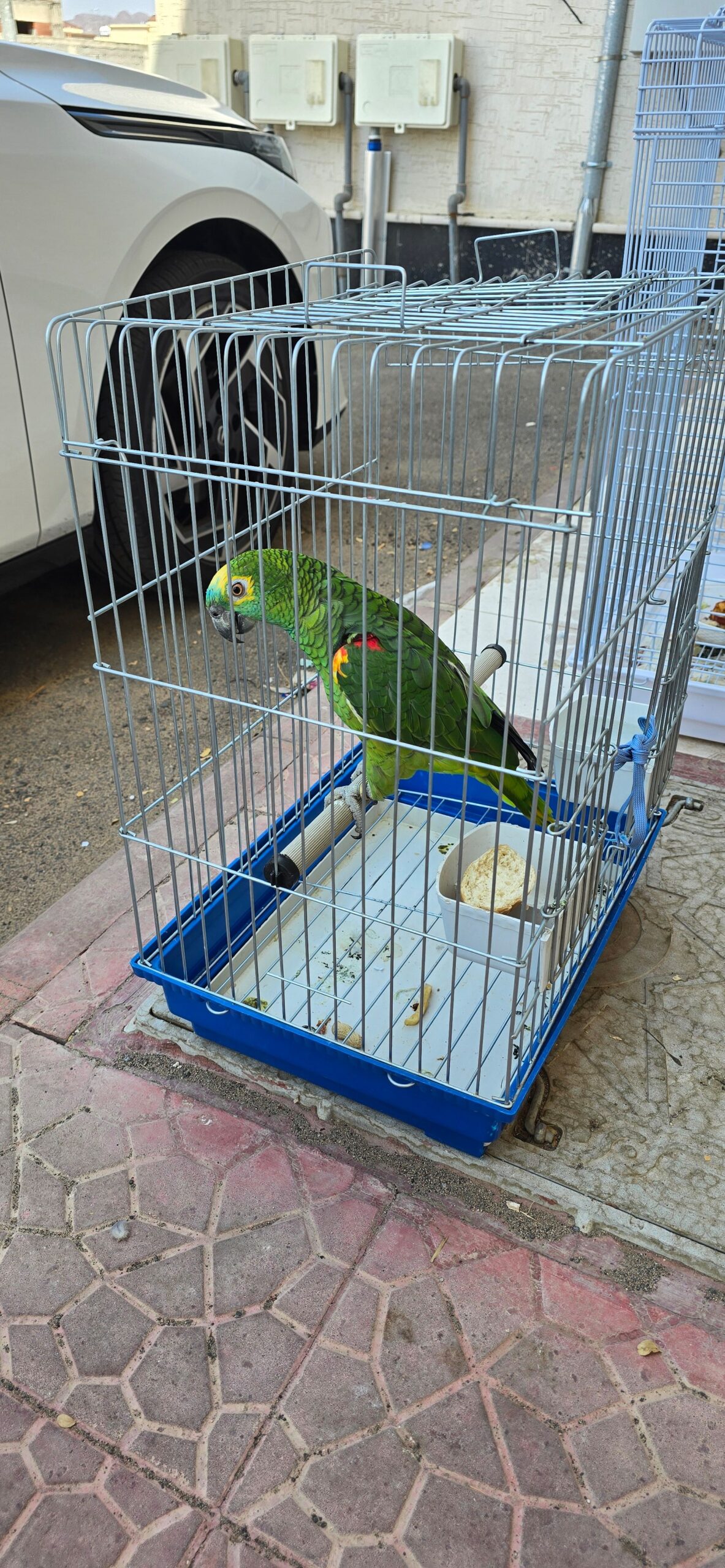 المدينه المنوره مخطط الملك فهد