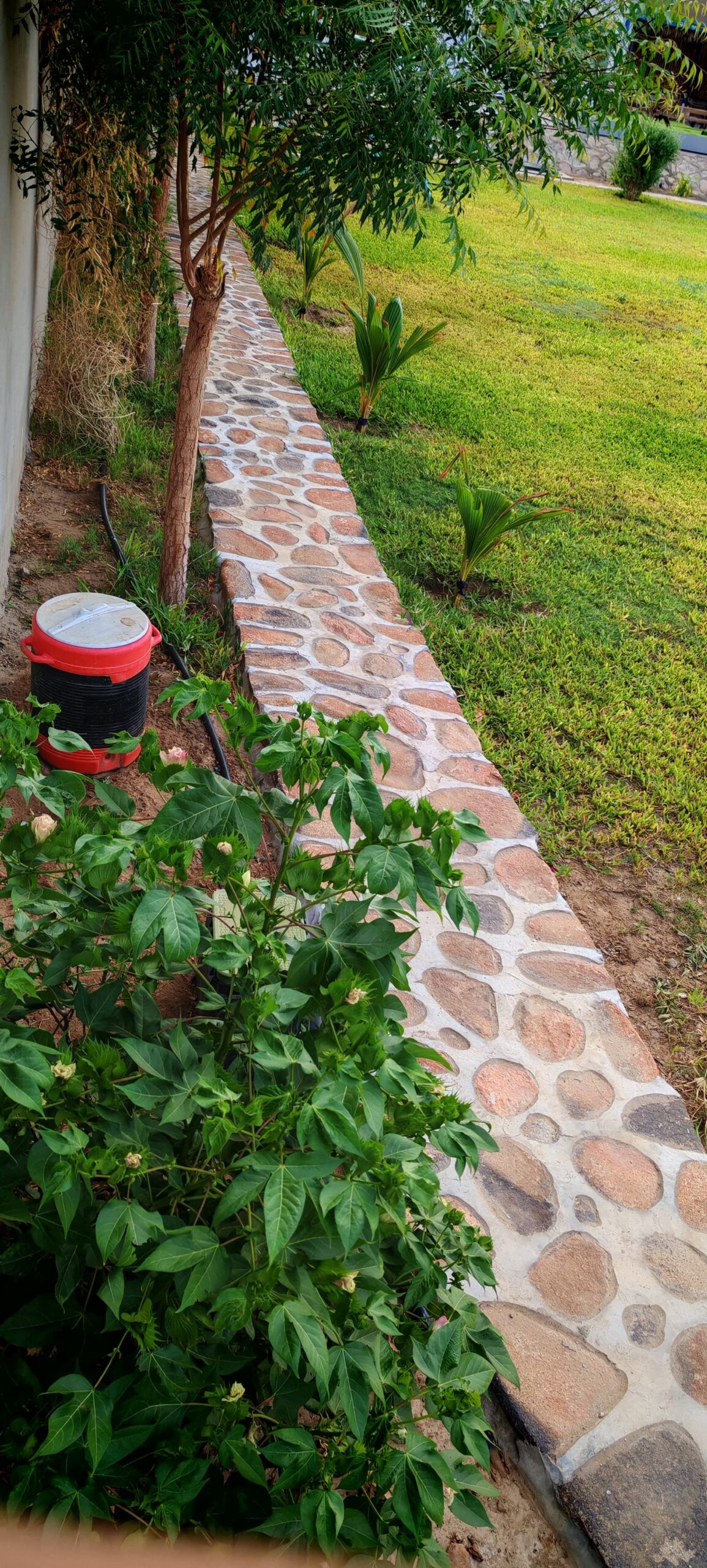 معلم حجر عشوائي جده جلسات مماشي وجميع انواع الحجر