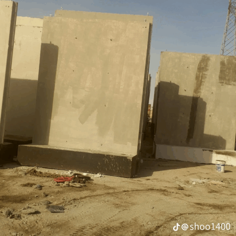 الرياض