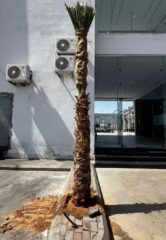 014e28d0-ae19-44e2-a2d2-89db86d79efe