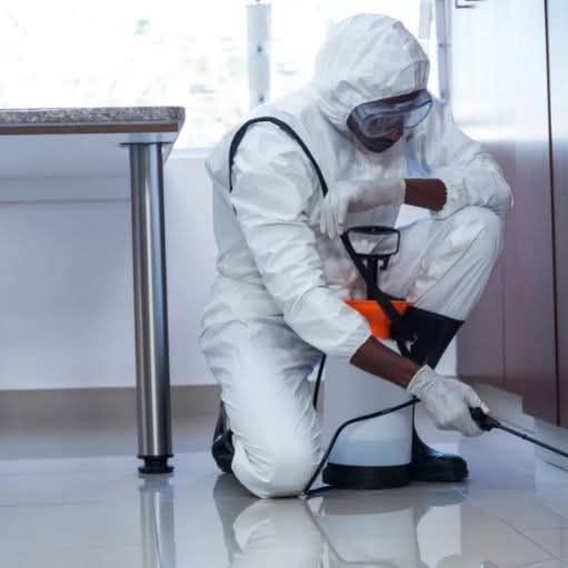 مكافحه حشرات