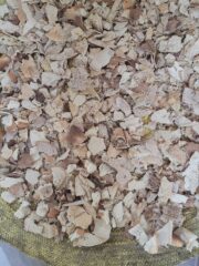 09f1a879-ab8e-4c2b-afee-f4f8f103ede8