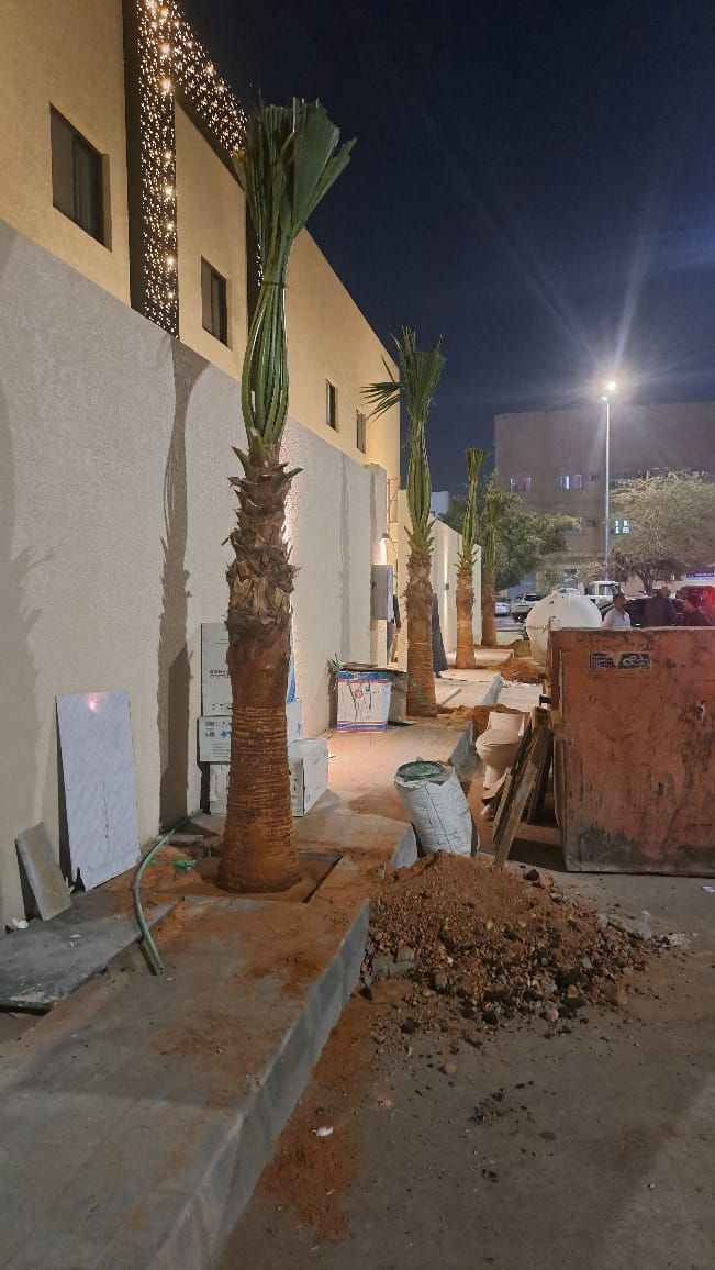 نخل وشنطانياء